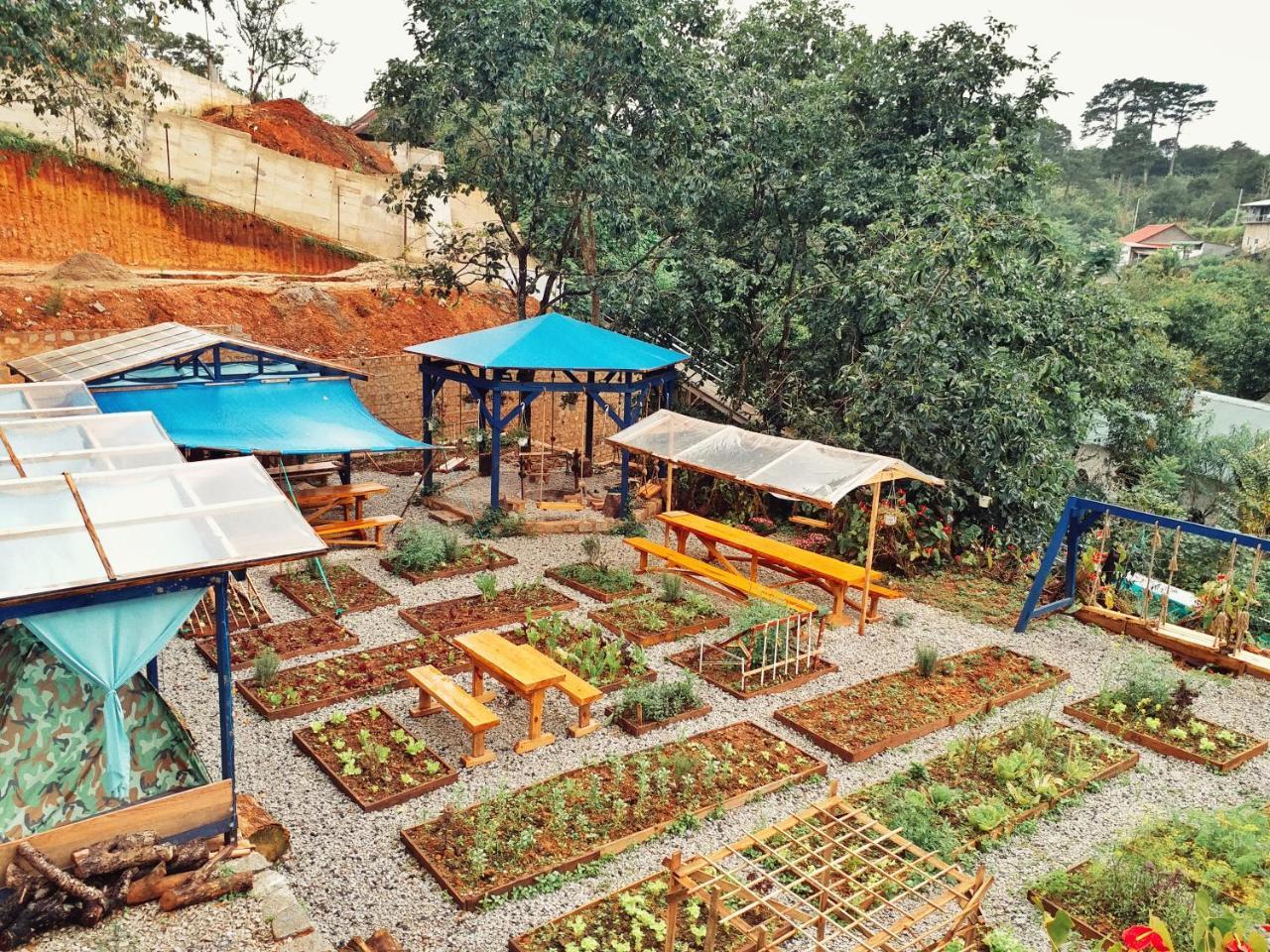 Degree 29 Hostel Da Lat Zewnętrze zdjęcie