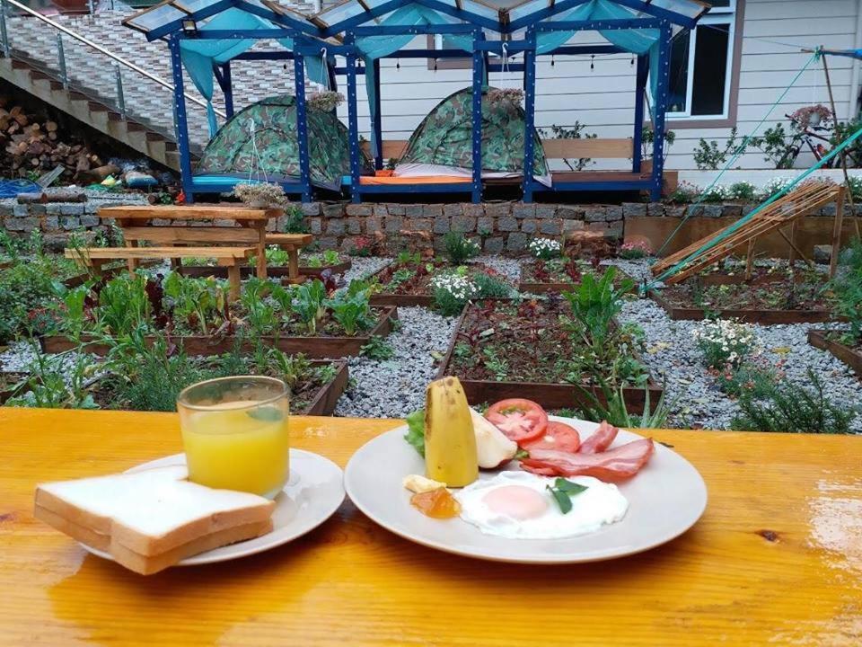 Degree 29 Hostel Da Lat Zewnętrze zdjęcie