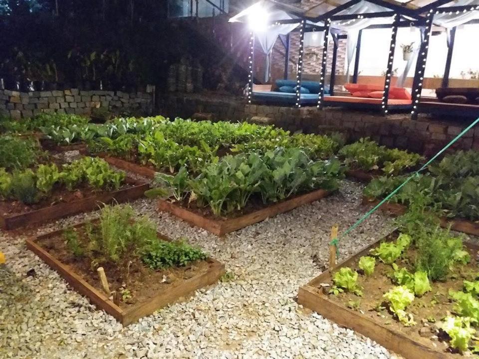 Degree 29 Hostel Da Lat Zewnętrze zdjęcie
